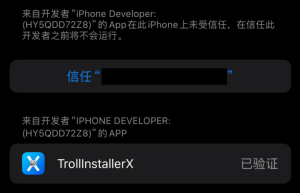 图片[16]-【资源教程】iphone软件自签安装教程-巨魔论坛